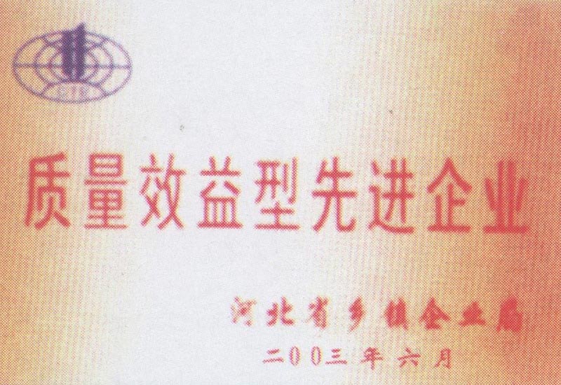質(zhì)量效益型先進(jìn)企業(yè)